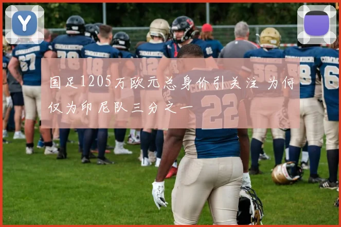国足1205万欧元总身价引关注 为何仅为印尼队三分之一