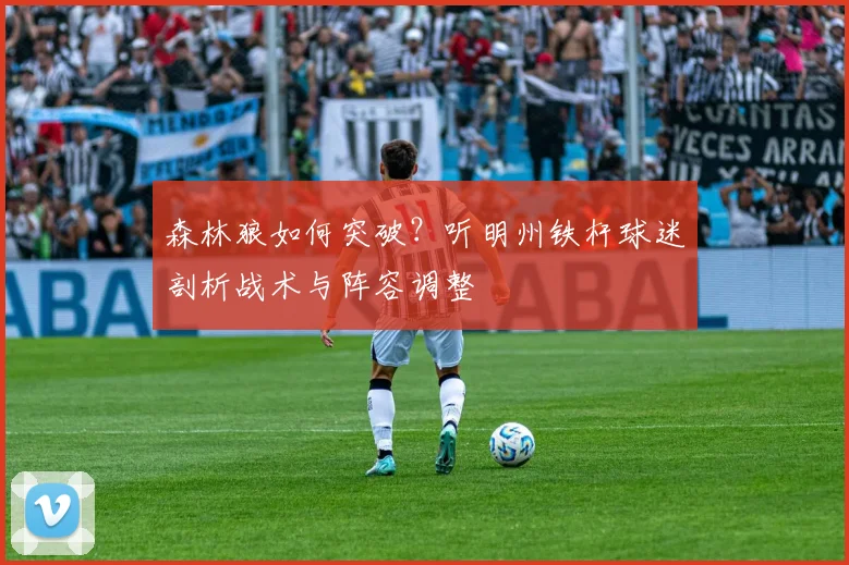 森林狼如何突破?听明州铁杆球迷剖析战术与阵容调整